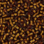 Miyuki delica Beads 11/0 - Silver lined amber DB-144